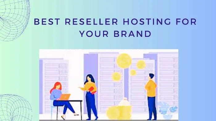 Finding the Best Reseller Hosting for Your Brand: Dominate the Market