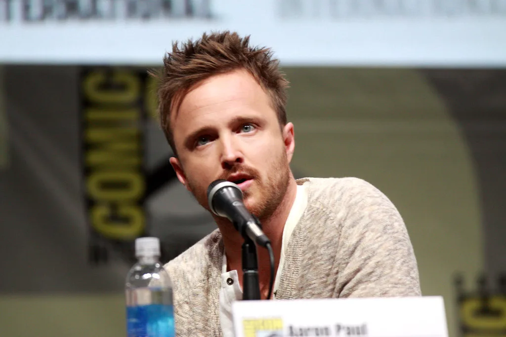 Where Are Aaron Paul's Houses - Urban Splatter