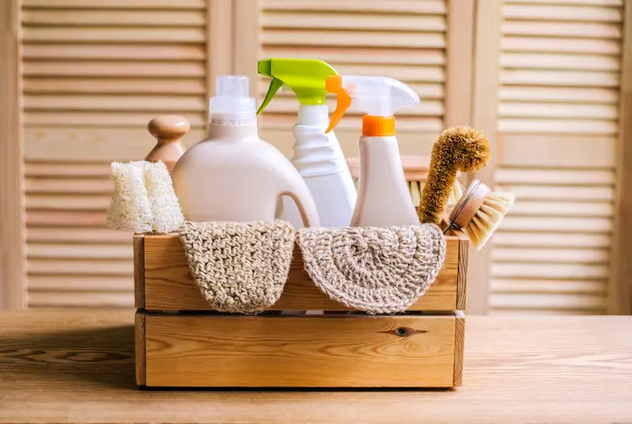 Eco-Friendly House Cleaning Tips: A Comprehensive Guide to a Greener ...